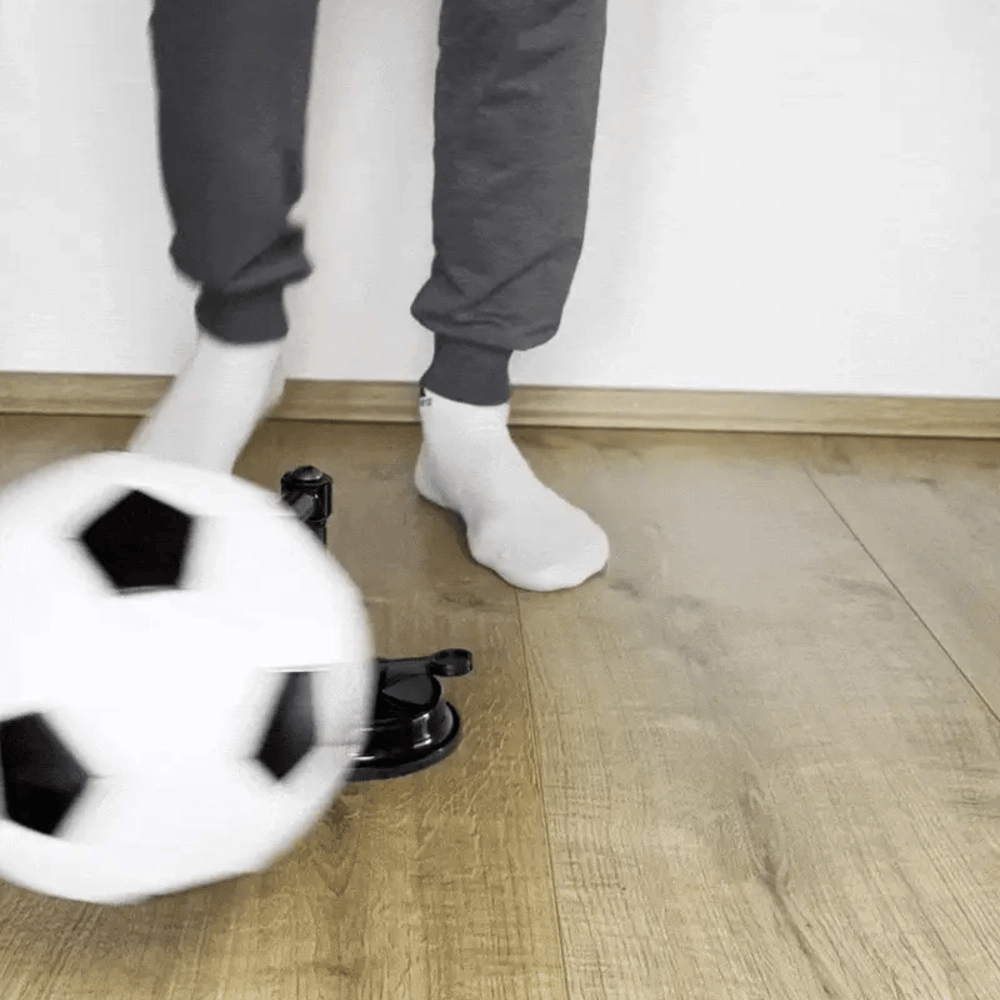 Flicker 360° Pro Trainner + Trainning App