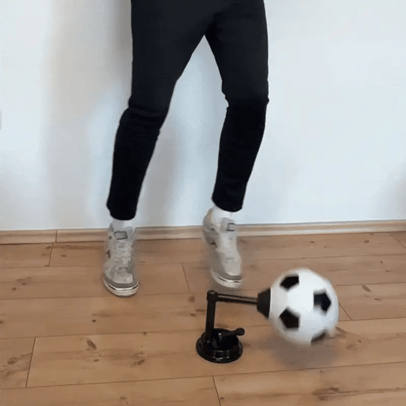 Flicker 360° Pro Trainner + Trainning App