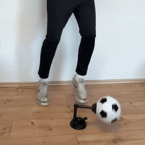 Flicker 360° Pro Trainner + Trainning App