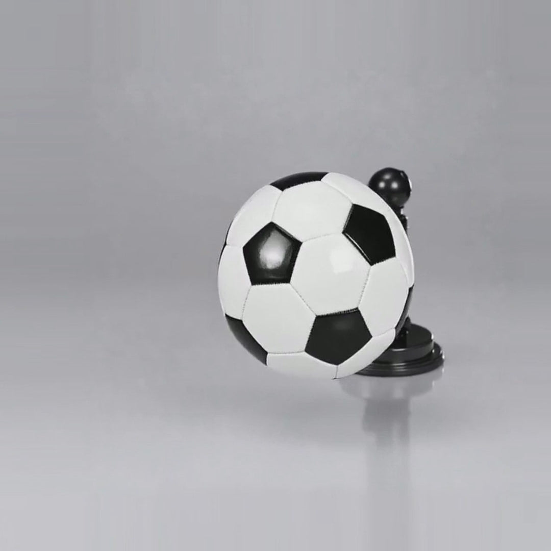 Flicker 360° ™ + Training series App